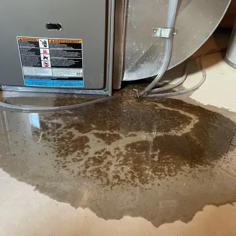 Appliance Leak Cleanup in Forrest, IL